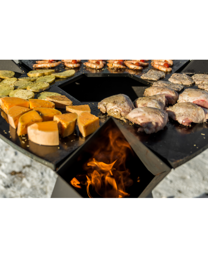 PLANCHA ORIGINE 800 NOIR - INOX
