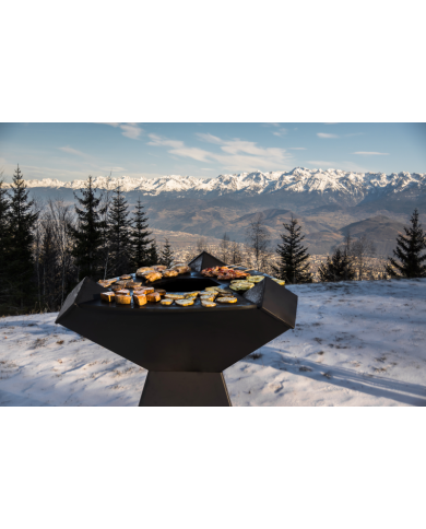 PLANCHA ORIGINE 800 NOIR - INOX